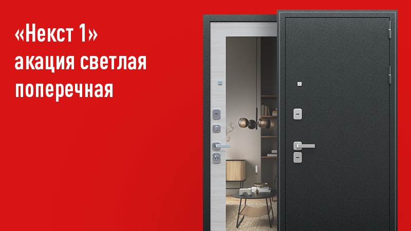 Входная дверь с зеркалом Некст 1
