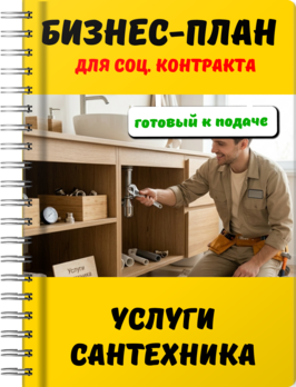 Бизнес-план для социального контракта - Услуги сантехника