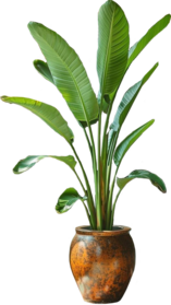 стоимость интерьера в СПб