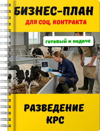 Бизнес-план для социального контракта - Разведение КРС