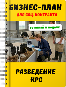 Бизнес-план для социального контракта - Разведение КРС