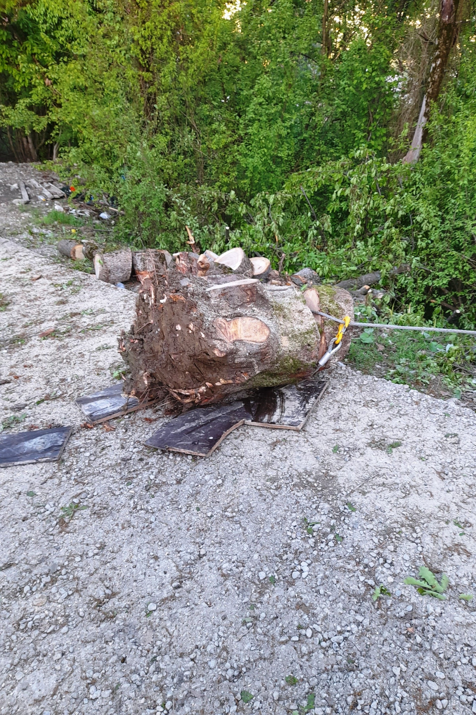 Корчевание удаление пней