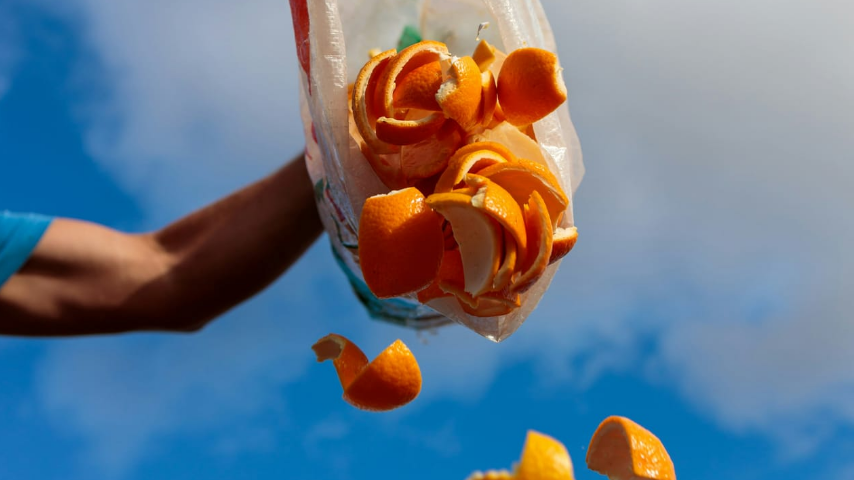 обезвреживание пищевых отходов