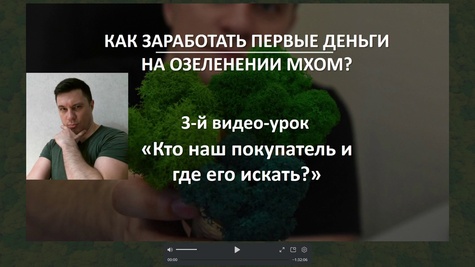 КАК ЗАРАБОТАТЬ ДЕНЕГ НА ОЗЕЛЕНЕНИИ МХОМ? и начать бизнес на стабилизированном мхе business-moss.ru