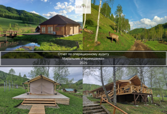 Маральник на Алтае