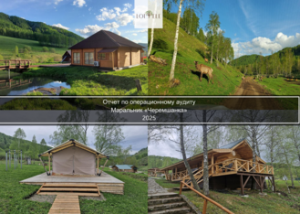 Маральник на Алтае