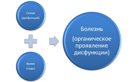 Соматическая дисфункция и болезнь