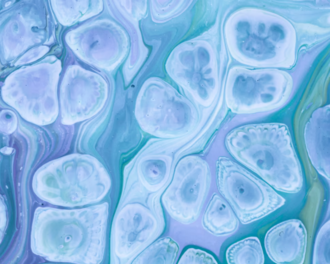 Молекулярный механизм действия глутатиона на клеточном уровне