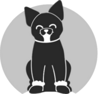 Мастерская обуви для собак