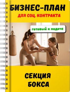 Бизнес-план для социального контракта - Секция бокса