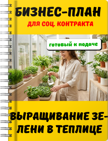 Бизнес-план для социального контракта - Выращивание зелени в теплице