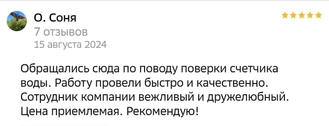 Скриншот отзыва 2GIS, поверка водосчетчика - 08.2024