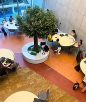 CIU, Кипрский международный университет, Cyprus International University