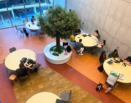 CIU, Кипрский международный университет, Cyprus International University