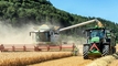 AgroHolding South