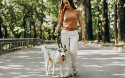 Рекомендации по улучшению приемлемости специальной диеты