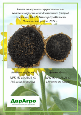 Примеры испытаний применения удобрения Апасила в Республике Башкортостан