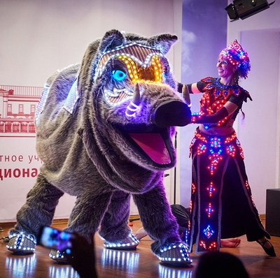 Светодиодные костюмы Кабана и Принцессы