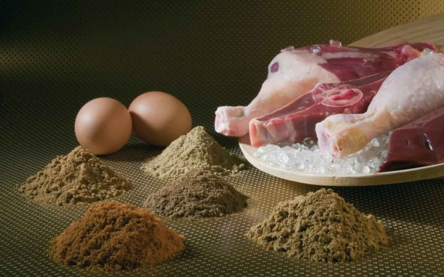 Каким мясом лучше кормить собаку? Разбираем разные виды мяса для собак.