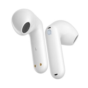 WT2 Edge Timekettle купить наушники переводчики в официальном магазине