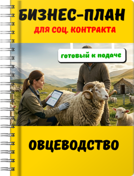Бизнес-план для социального контракта - Овцеводство
