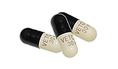 Ветоил 30 мг купить СПб