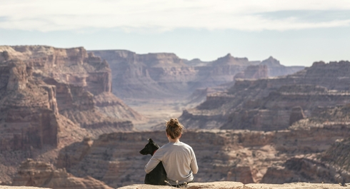 Контроль ХБП по стадиям IRIS