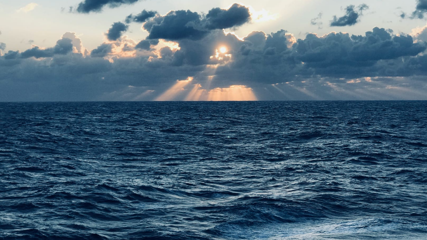 веселый праздник