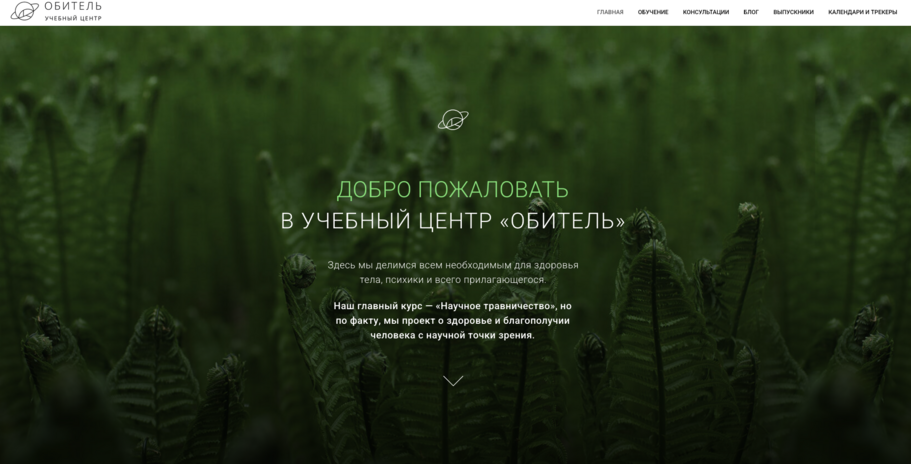 структура маркетинговой стратегии