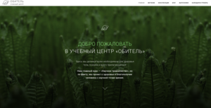 структура маркетинговой стратегии