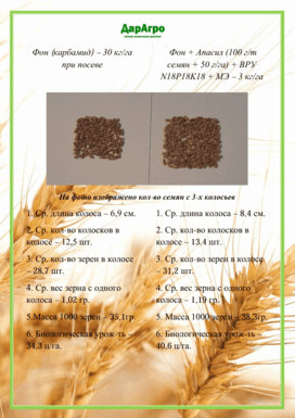 Примеры испытаний применения удобрения Апасила в Республике Башкортостан