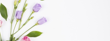Express flower delivery 