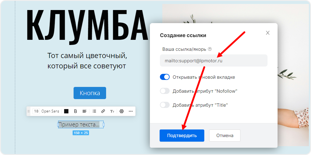 Ссылка на почту в текстовом поле в mottor