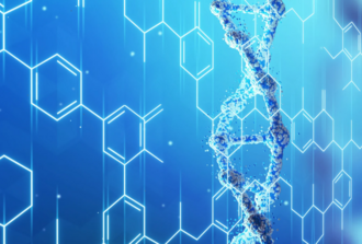 фосфор у кошек