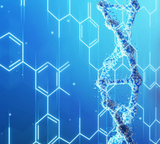 фосфор у кошек