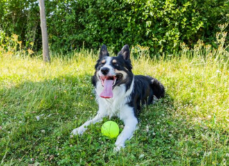 Фосфор и его ограничения в диете при ХПН