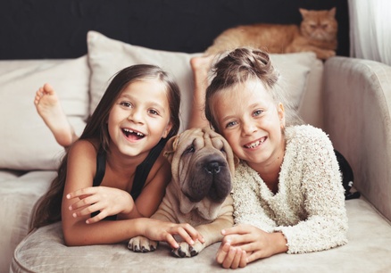 Ветеринарные услуги