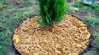 красива