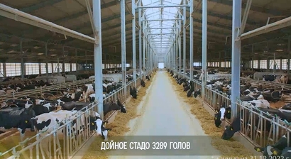 Цифровой Агро-Тур, ИП ГК(Ф)Х Зубарева Н.В., КФХ Зубарева, Красноярский край, Шушенский