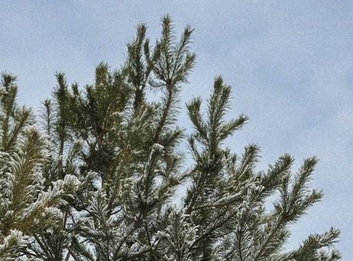 отдых за городом Саратов