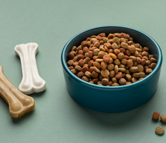 Диета для собак с почечной недостаточностью