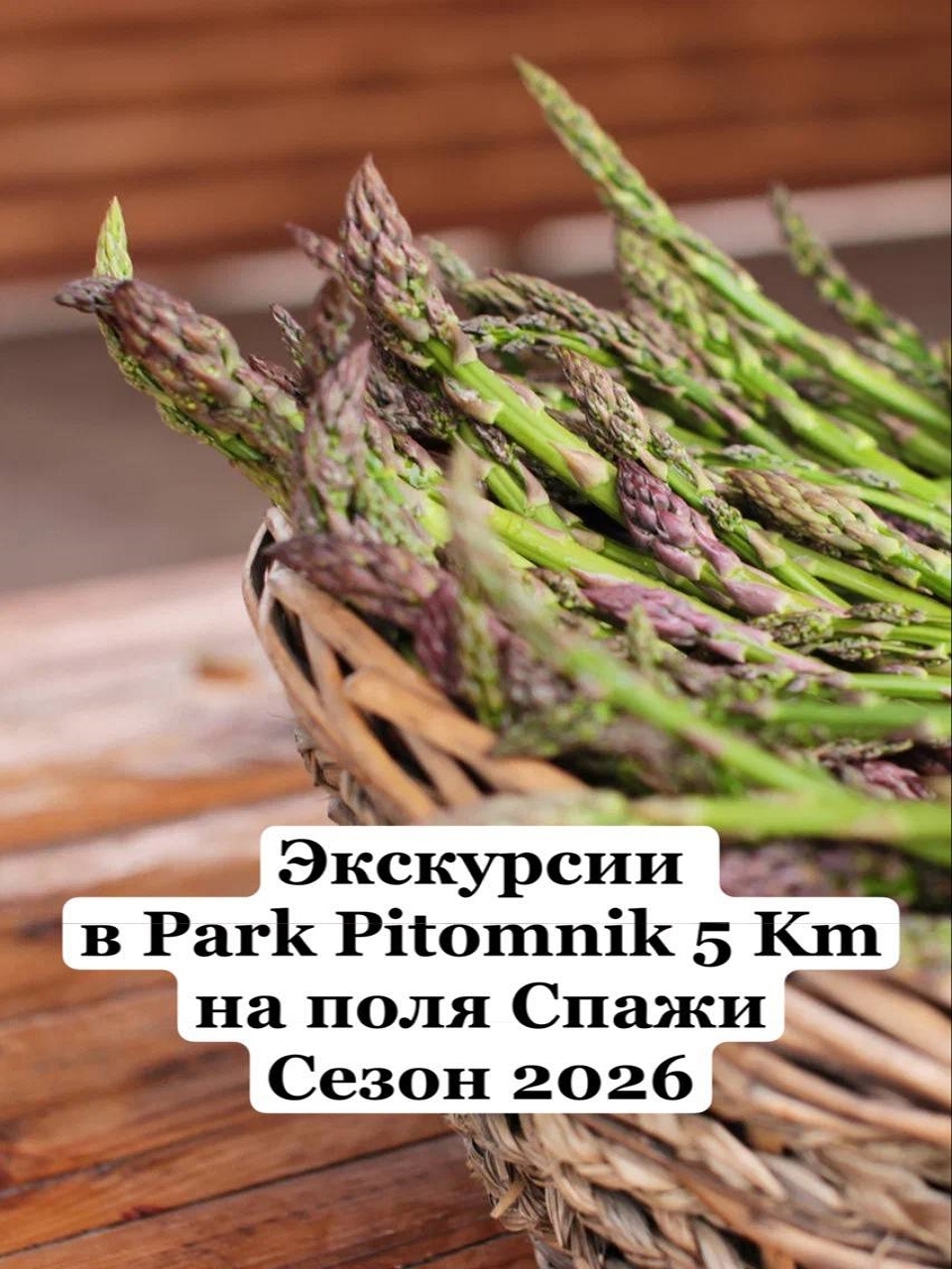 Новый год на природе