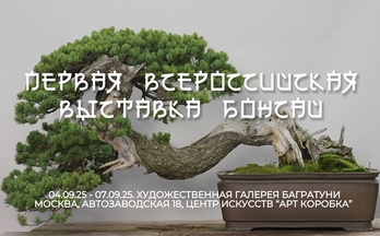 Первая всероссийская выставка бонсай. Галерея Багратуни
