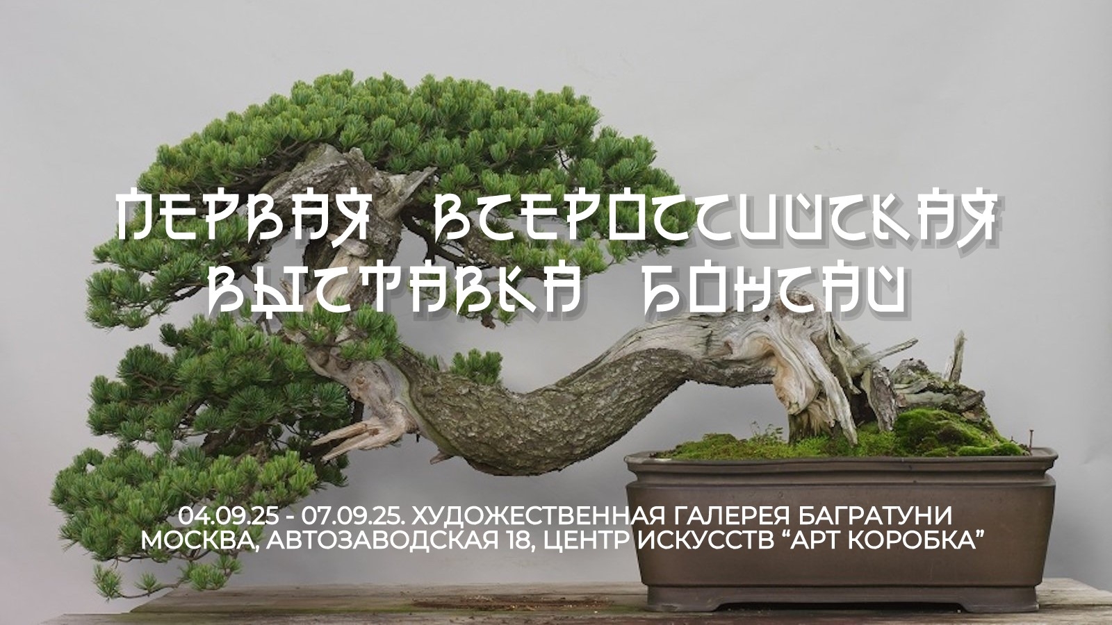 Ольга Гилёва. Персональная выставка "Тихая жизнь". Галерея Багратуни