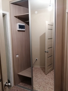 Встроенный шкаф купе в прихожей
