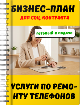 Бизнес-план для социального контракта - Услуги по ремонту телефонов