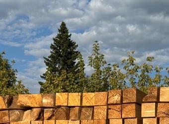 Брус 100х100х6000
