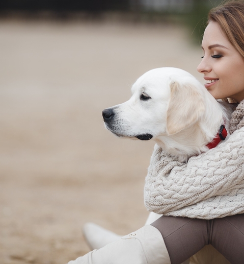 Веторил инструкция: правила применения