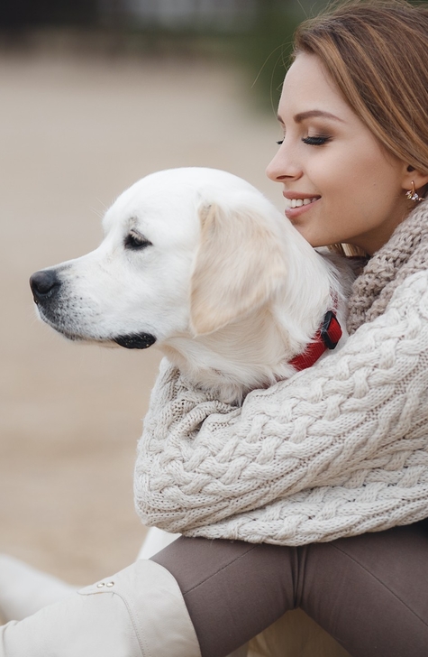 Веторил инструкция: правила применения