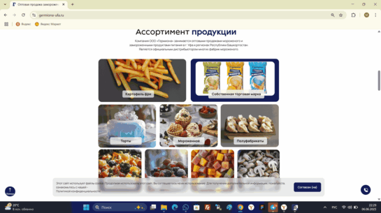 Сео продвижение сайта в поисковых системах Яндекс и Google от Толстель Максима